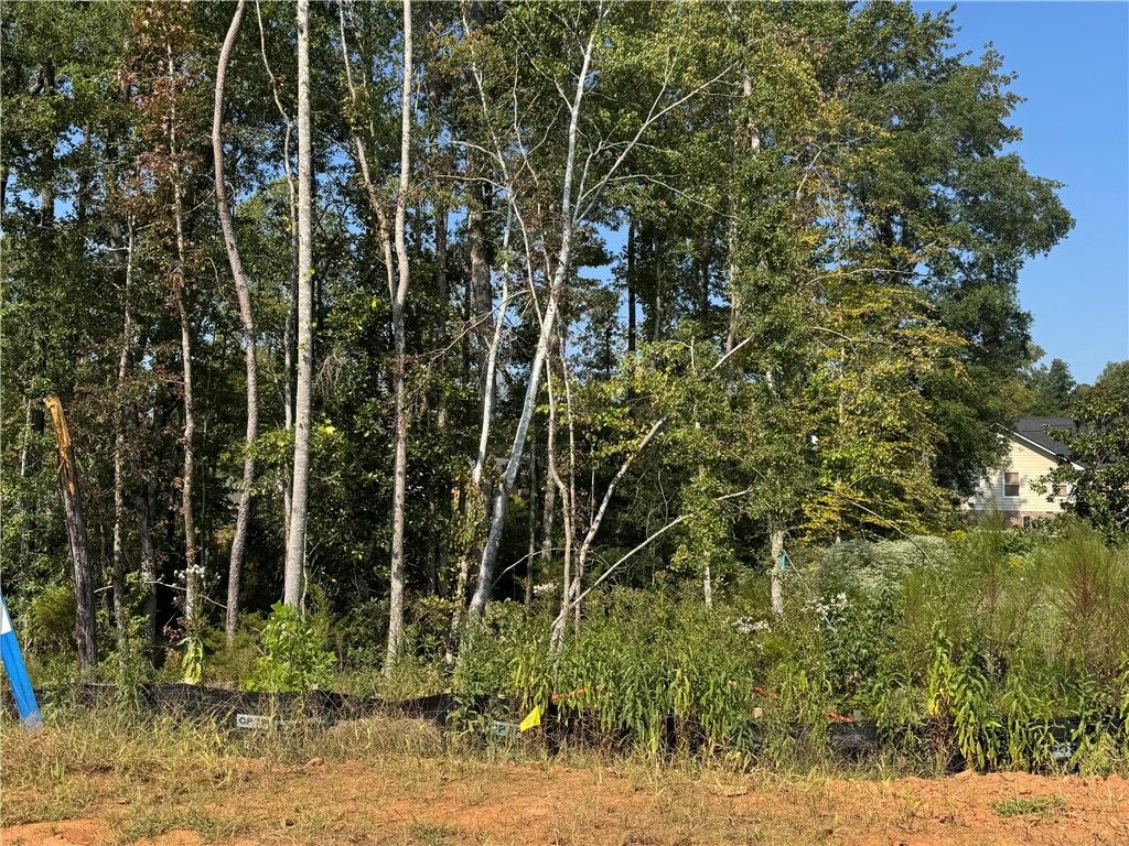 Photo of 10 LONG LEAF Lane, Opelika, AL 36804 (MLS # 176673)