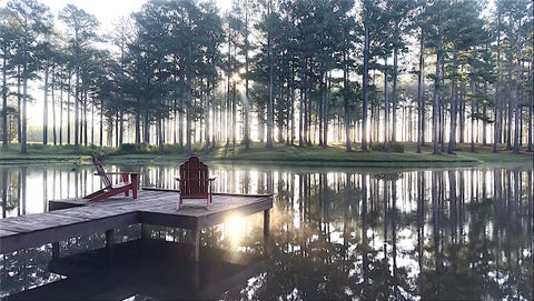 Photo of 1362 N FRIENDSHIP Drive, Greenville, AL 36037 (MLS # 182328)