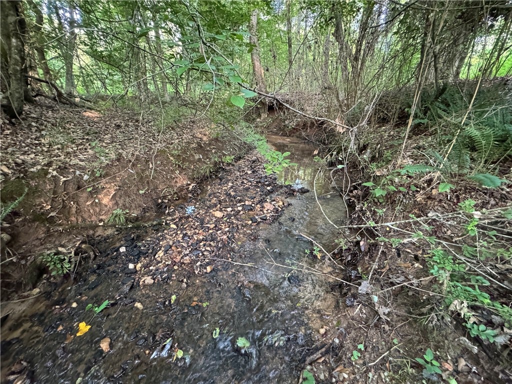 Photo of 00 TALLAPOOSA Road, Camp Hill, AL 36850 (MLS # 180913)