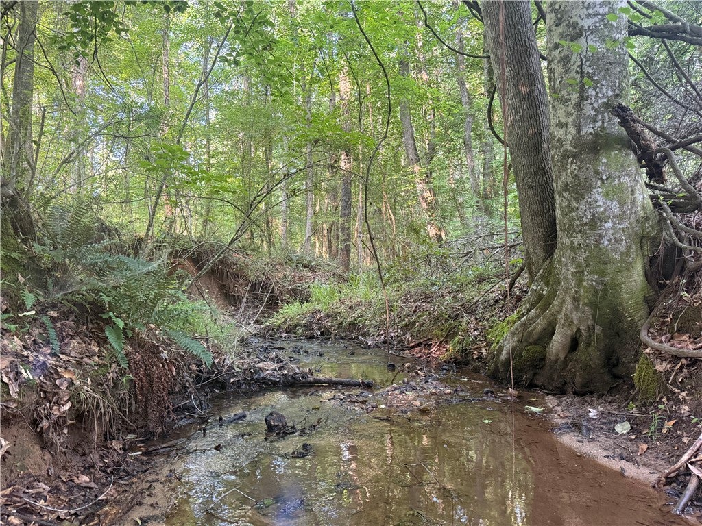 Photo of 00 TALLAPOOSA Road, Camp Hill, AL 36850 (MLS # 180913)