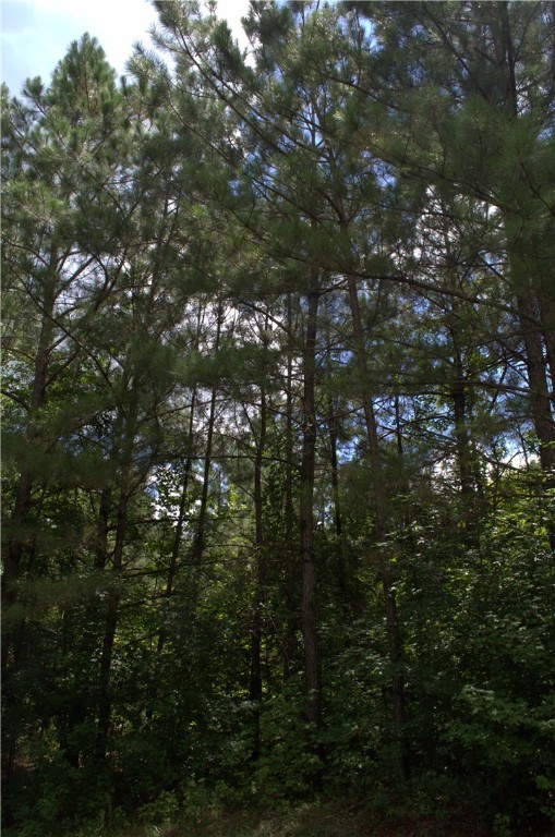 0 LEE ROAD 2007