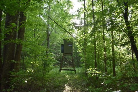 Photo of 0 JACKSON Road, Camp Hill, AL 36850 (MLS # 180118)