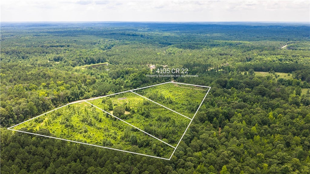 Photo of 4105 COUNTY ROAD 22, Waverly, AL 36879 (MLS # 181095)