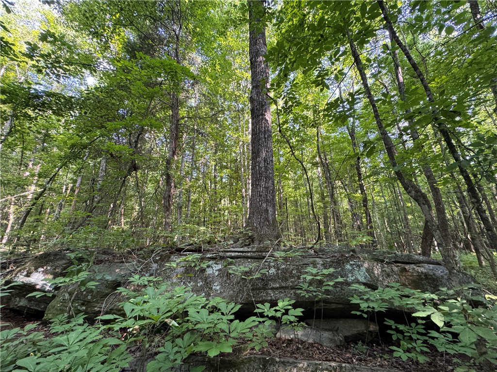 3850 COUNTY ROAD 70