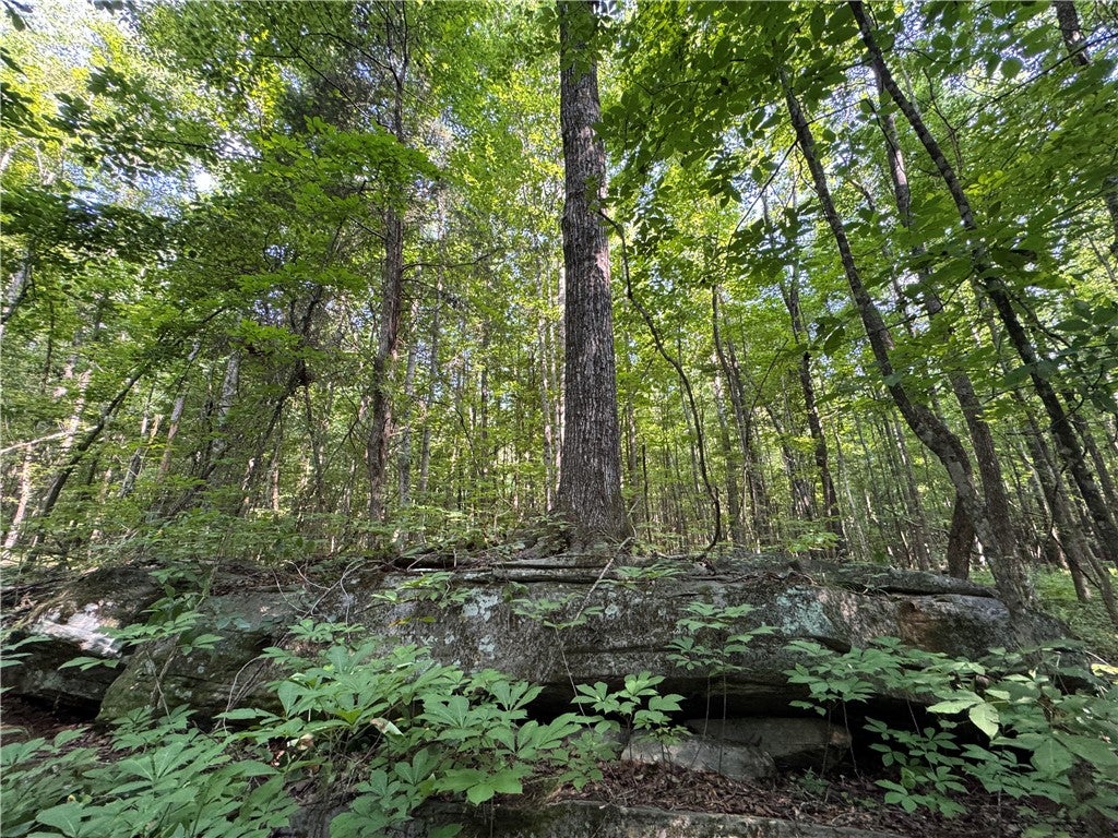 Photo of 3850 COUNTY ROAD 70, Camp Hill, AL 36850 (MLS # 181275)