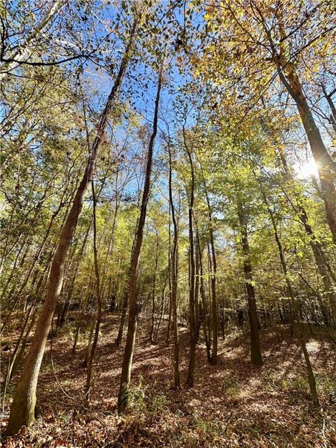Photo of 0 AL HIGHWAY 82, Eufaula, AL 36027 (MLS # 177631)