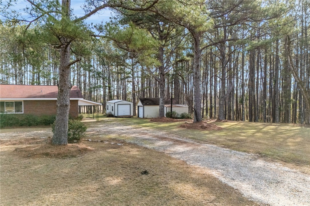 5819 AL HIGHWAY 51