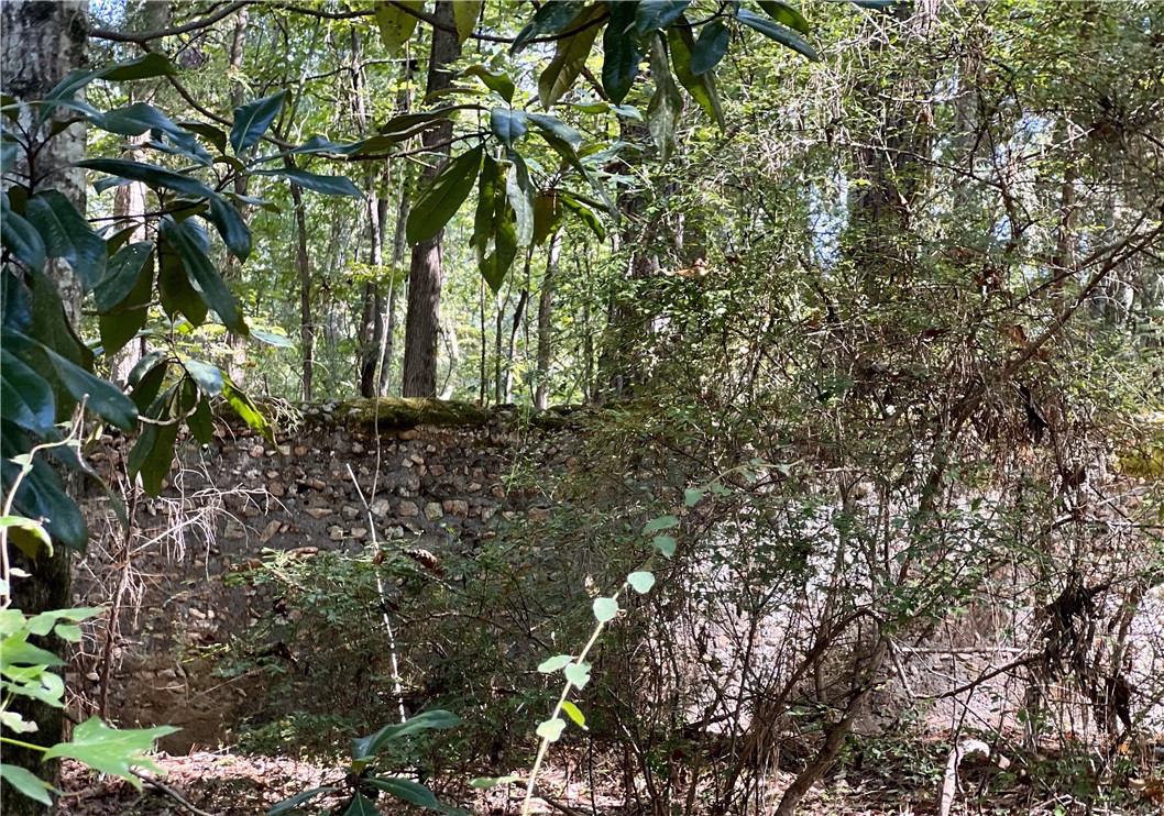 Opelika, Alabama 36801, United States, ,Land,Active,6842