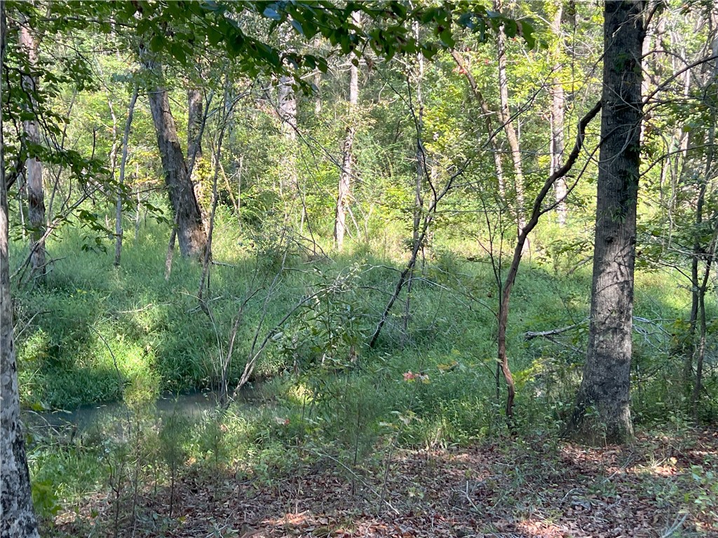 Opelika, Alabama 36801, United States, ,Land,Active,6842