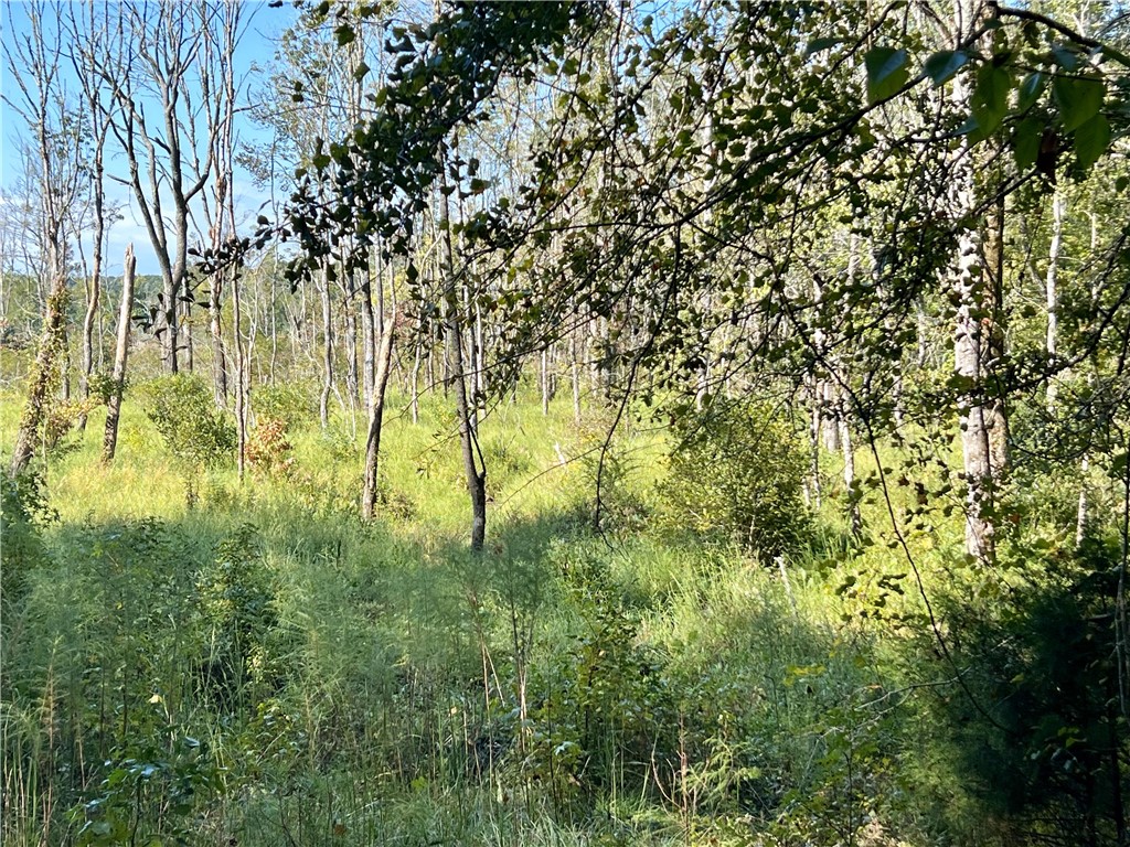 Opelika, Alabama 36801, United States, ,Land,Active,6842