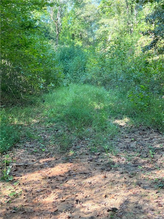 Opelika, Alabama 36801, United States, ,Land,Active,6842