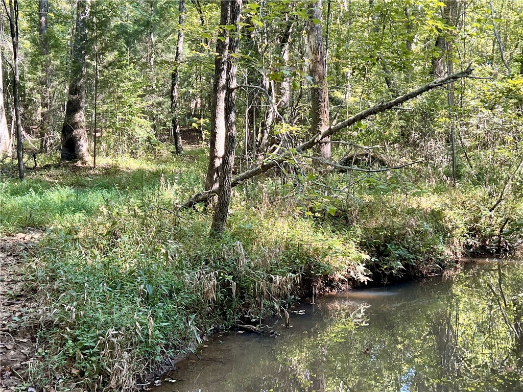 Opelika, Alabama 36801, United States, ,Land,Active,6842