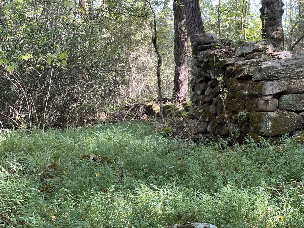 Opelika, Alabama 36801, United States, ,Land,Active,6842