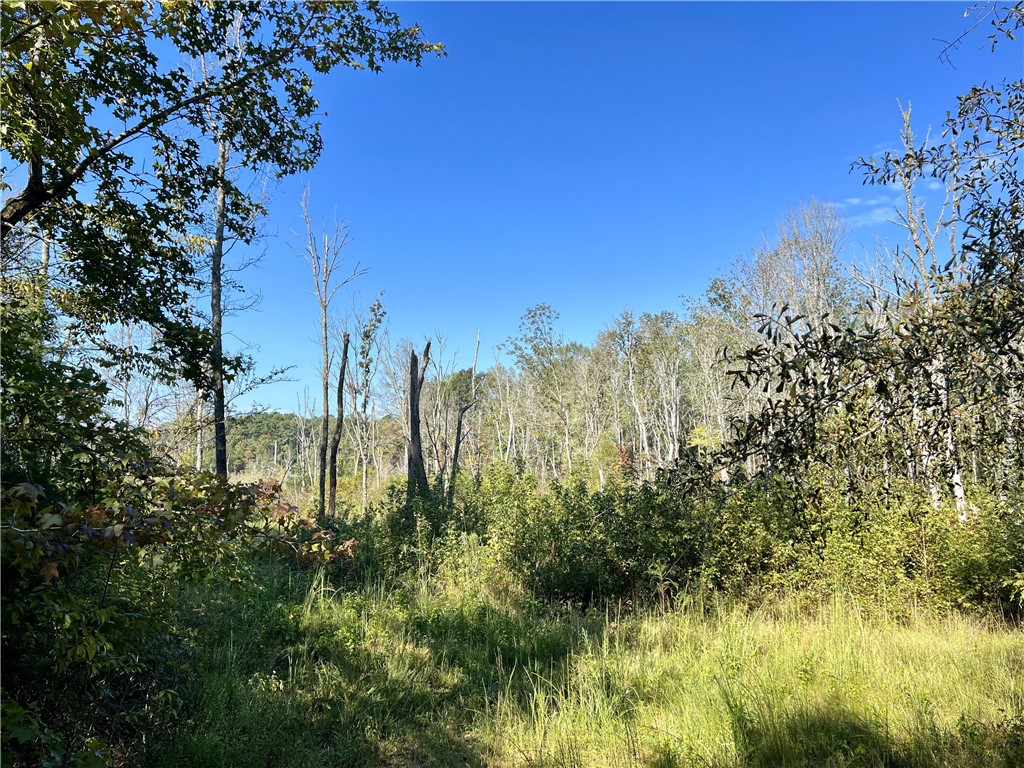 Opelika, Alabama 36801, United States, ,Land,Active,6842