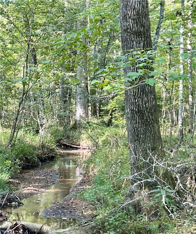 Opelika, Alabama 36801, United States, ,Land,Active,6842