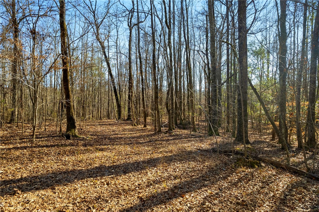 0 ROCKY BROOK Road