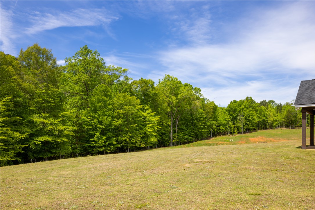 843 TIGER Trail