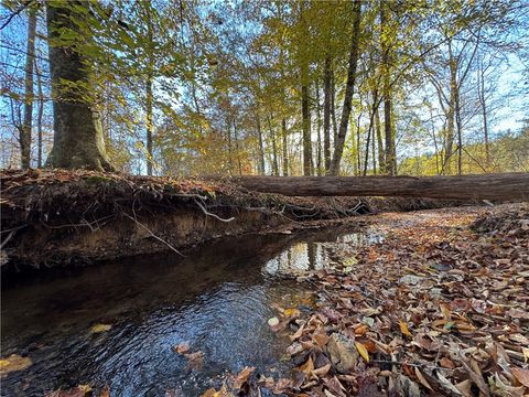 Photo of 0 GERMANY'S FERRY, Daviston, AL 36256 (MLS # 177939)