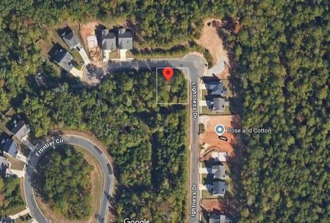 425 LIGHTNESS Drive Auburn AL 36832