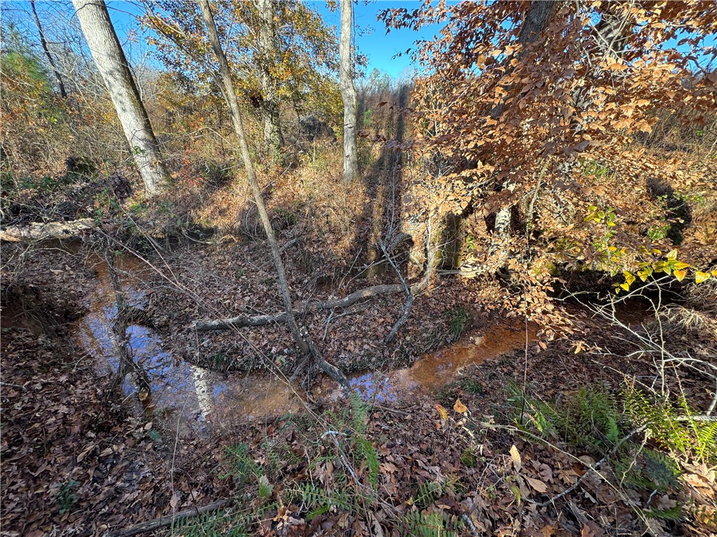 0 COUNTY ROAD 278