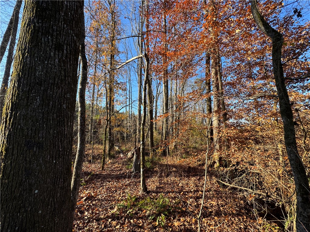 0 COUNTY ROAD 278