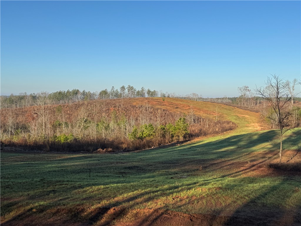 0 COUNTY ROAD 278