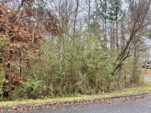 Lot 43 ALTHEA Loop