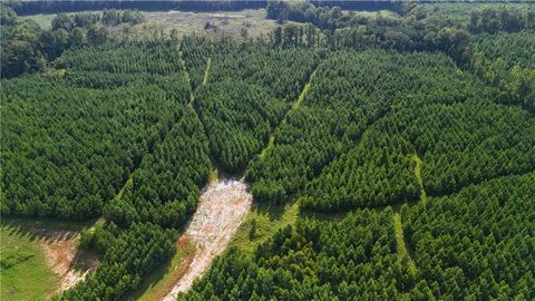 Photo of 0 BERRY Lane, Dadeville, AL 36853 (MLS # 175478)