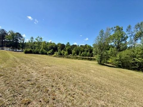 Photo of 0 LEE ROAD 124, Salem, AL 36874 (MLS # 180030)