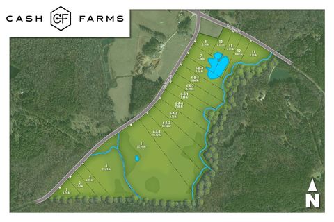 Lot 6-A-4 LEE ROAD 188 Waverly AL 36879