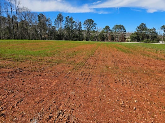 8160 COUNTY RD 87, LANETT, AL 36863 - Image 937a6588959d60fbfcec1fe84aab9da4/774287697