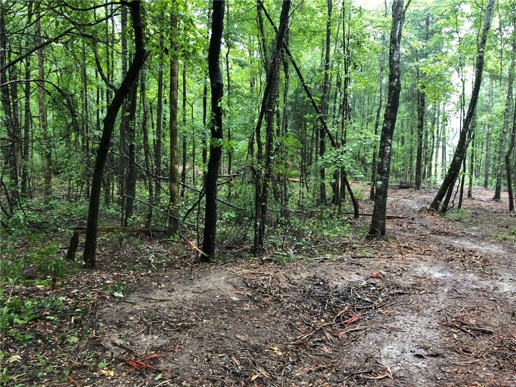 Photo of 7 LEE ROAD 39, Beauregard, AL 36804 (MLS # 172839)