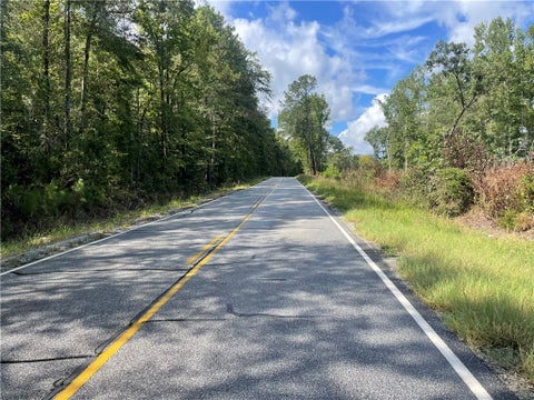 Photo of 0 LEE ROAD 112, Opelika, AL 36804 (MLS # 182333)