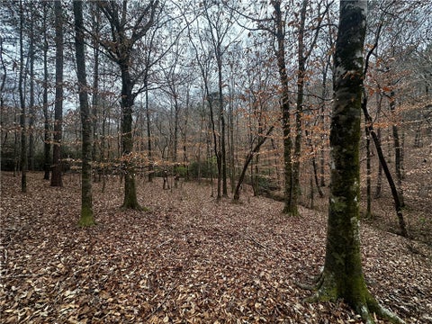 Photo of 0 LEE ROAD 367, Valley, AL 36854 (MLS # 181654)