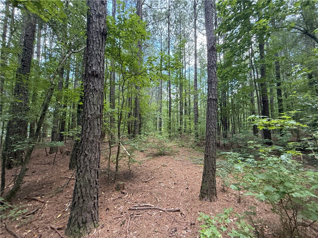 000 COUNTY ROAD 1815