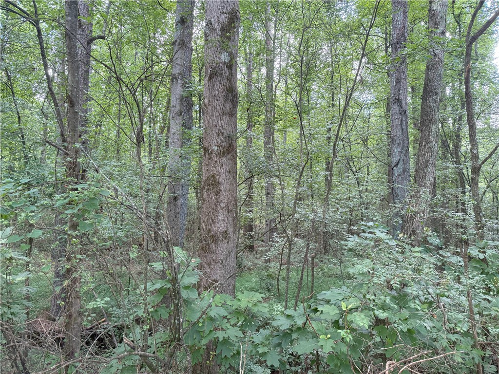 000 COUNTY ROAD 1815