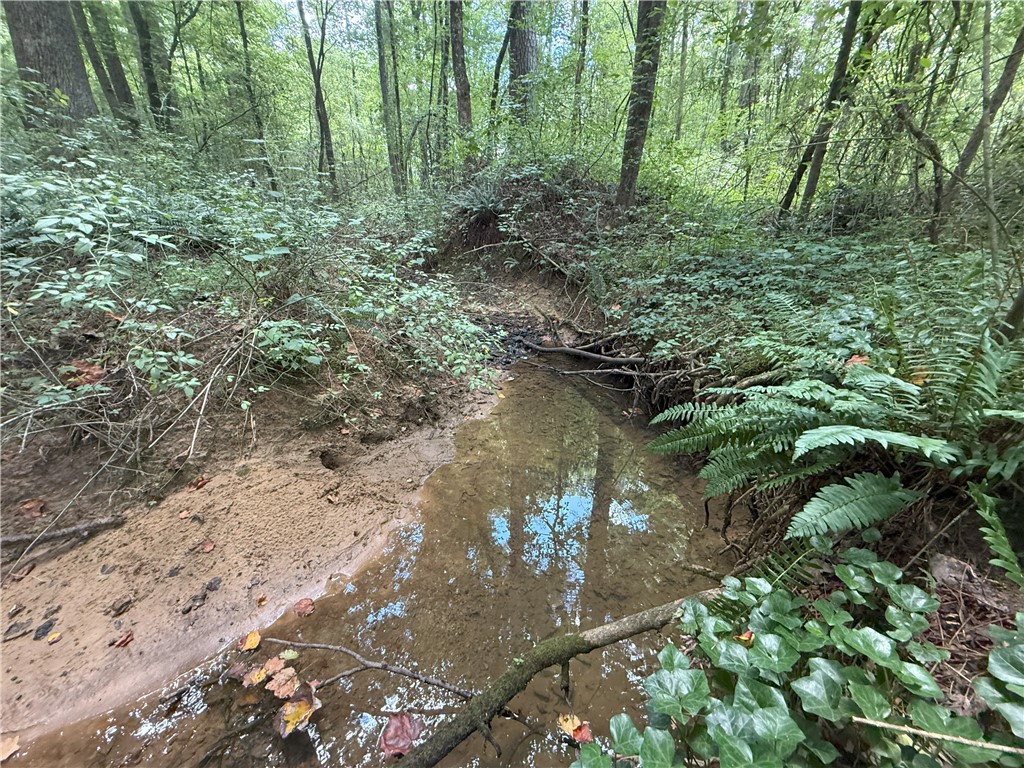 000 COUNTY ROAD 1815