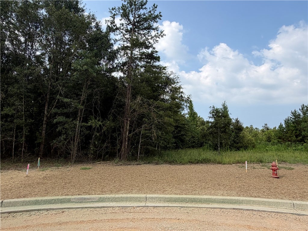 Photo of 13 HOMESTEAD Lane, Smiths Station, AL 36877 (MLS # 182229)