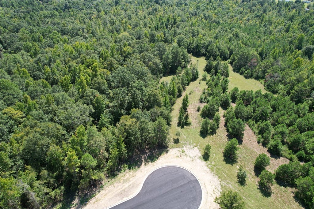 Photo of 13 HOMESTEAD Lane, Smiths Station, AL 36877 (MLS # 182229)