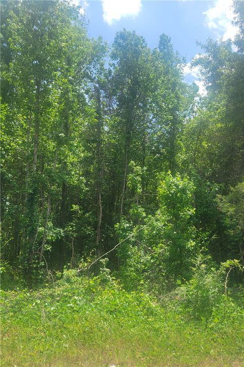 Photo of 00 O. B. BROWN Road, Auburn, AL 36830 (MLS # 180230)