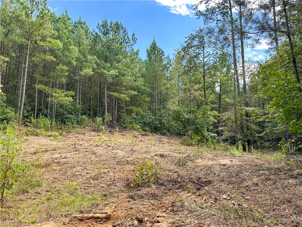 0 COUNTY ROAD 52
