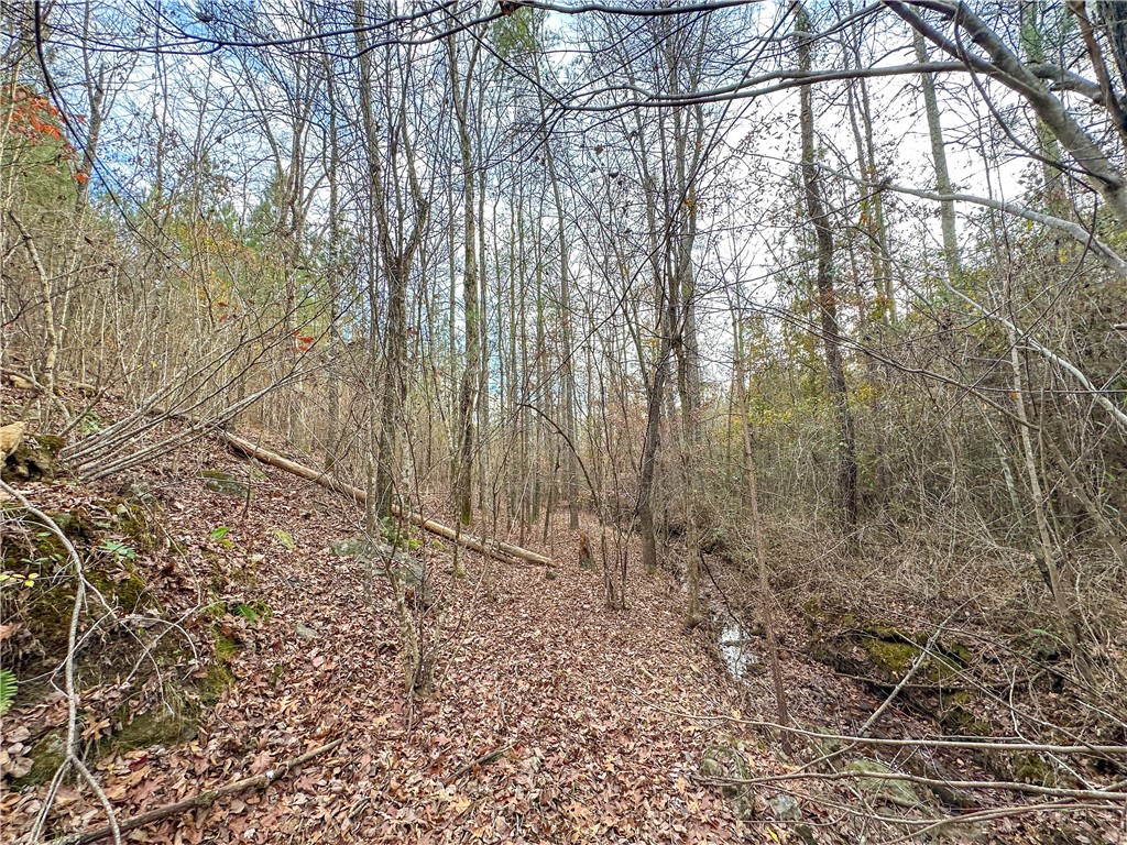0 COUNTY ROAD 52