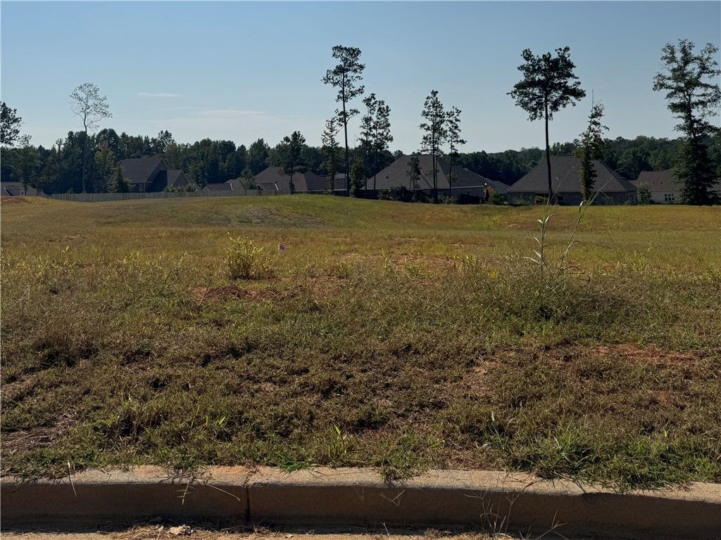 Photo of 13 LONG LEAF Lane, Opelika, AL 36804 (MLS # 176689)