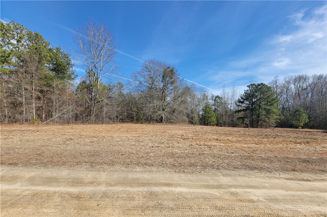 1738 LEE ROAD 39