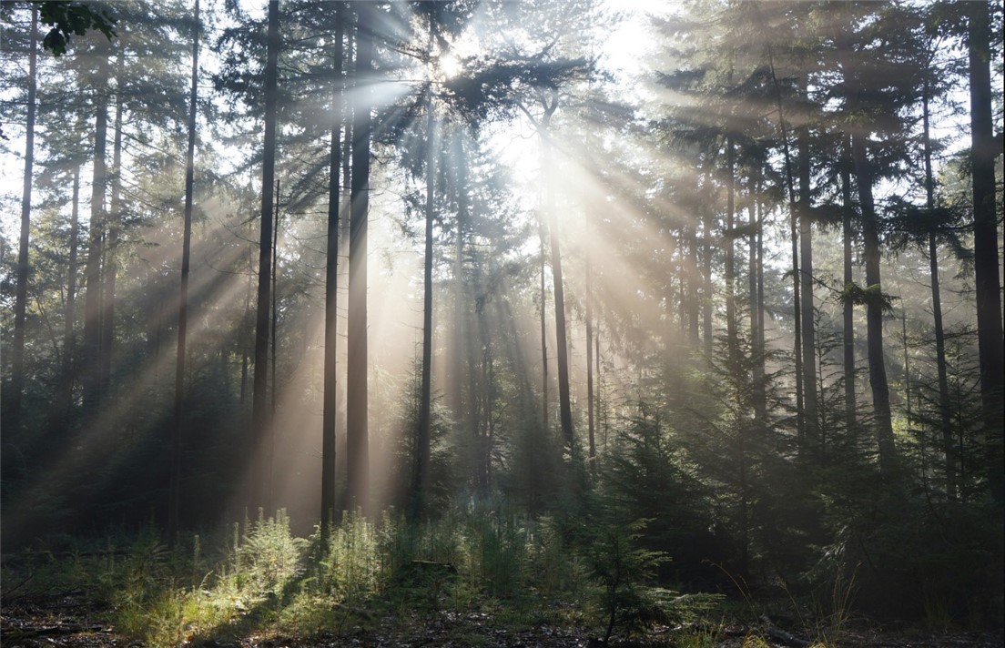 4220 OLD VILLAGE Way