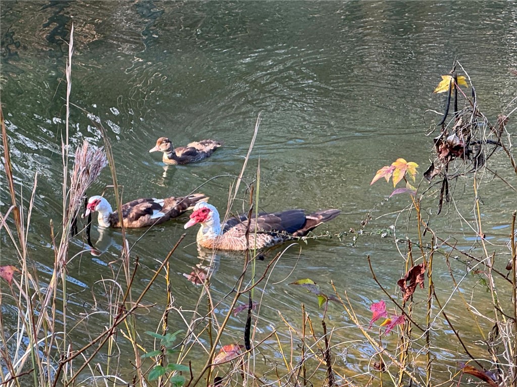 5400 COUNTY ROAD 128