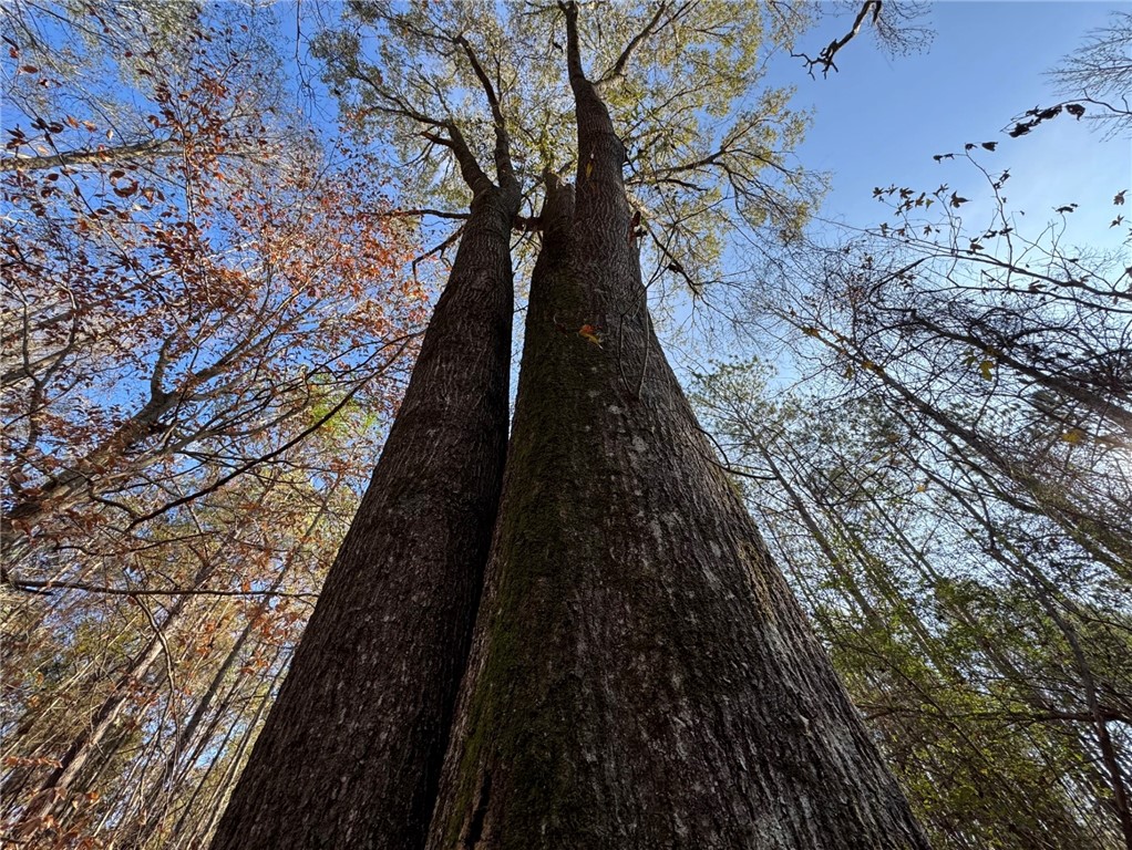 5400 COUNTY ROAD 128