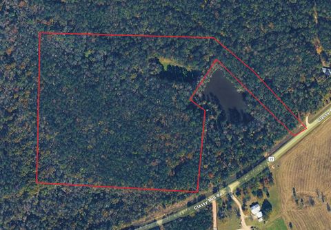 Photo of 7241 COUNTY ROAD 22, Auburn, AL 36830 (MLS # 179786)