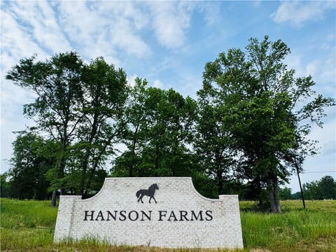 Photo of 960 HANSON FARMS Drive, Auburn, AL 36830 (MLS # 180601)