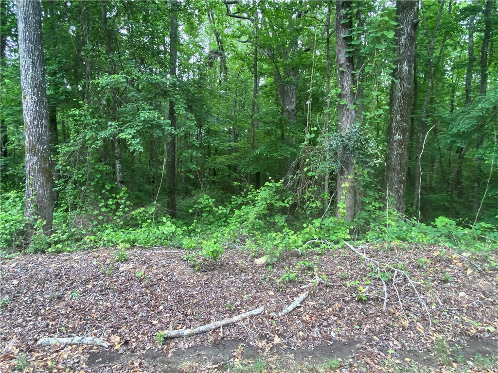 5973 LEE Road 70